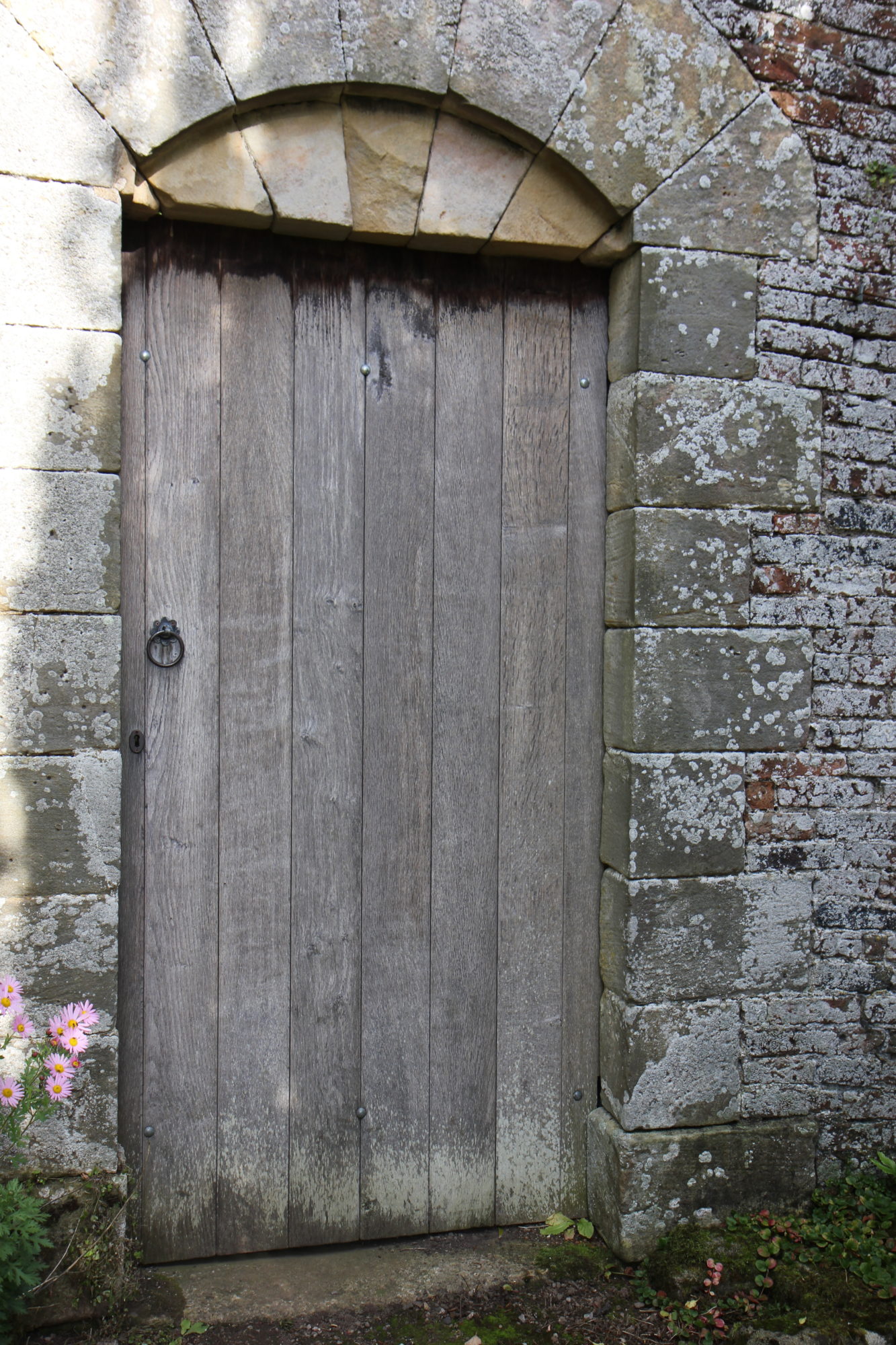 Wooden Door