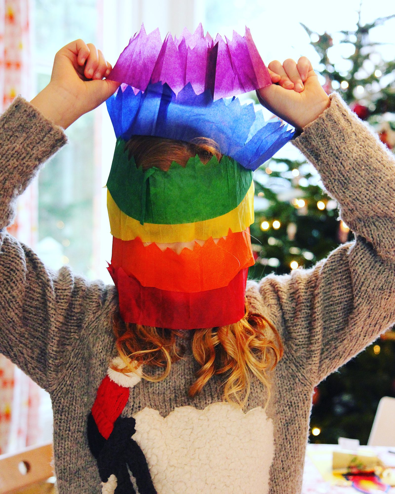 Christmas Hats